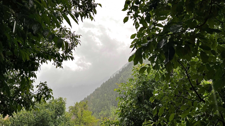 Barhal Karahan